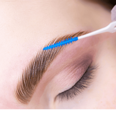 Beginners Brow Lamination Course Editable Training Manual - The London Brow Company